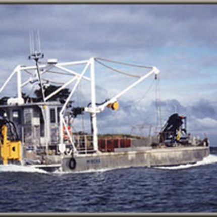 La barge ostréicole à la pointe du Blaire